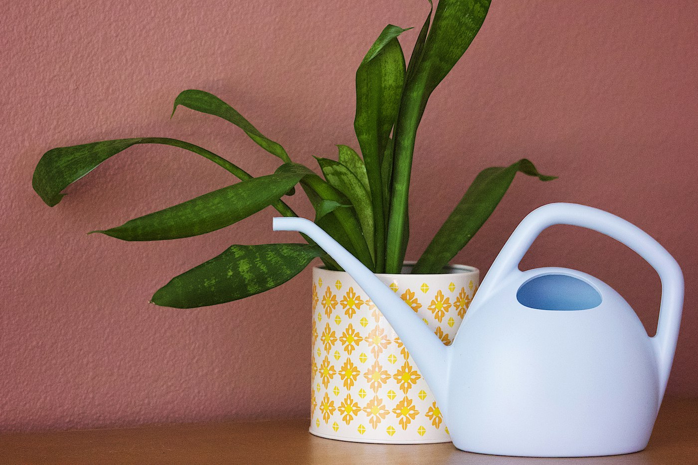 A small potted plant on a balcony table next to a metal watering can